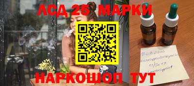 гидропоника Дубна