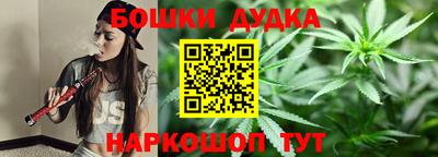 гидропоника Дубна