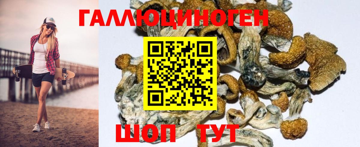 Ипатово  Псилоцибиновые грибы Psilocybe  Вход с VPN 