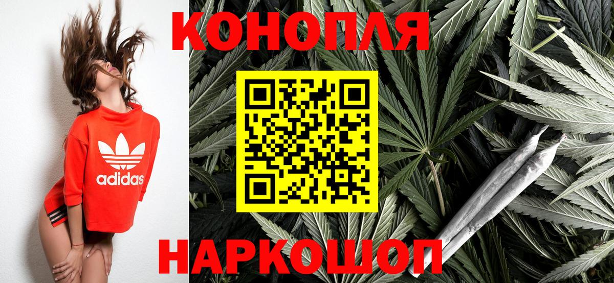 Каннабис OG Kush Ипатово
